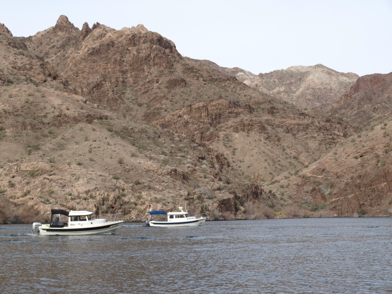 Lake Mohave hunting sheep
