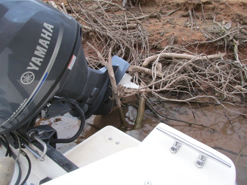 Lake Powell. Mike anchors a little too close to shore.