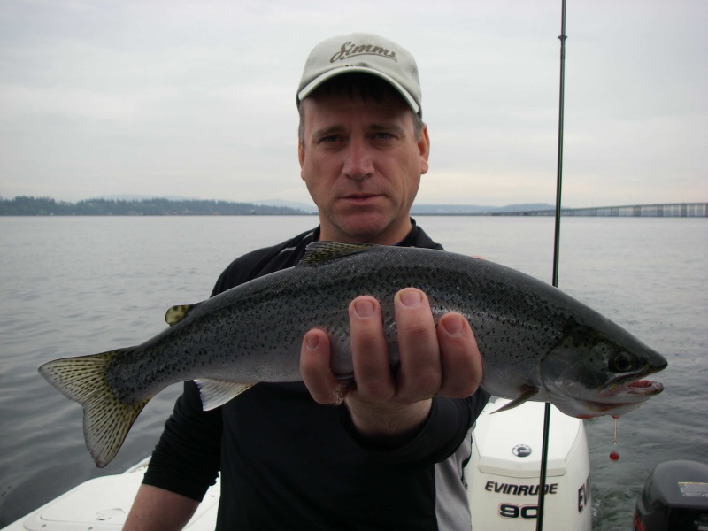 Lake Washington Cutthroat (May 2008)