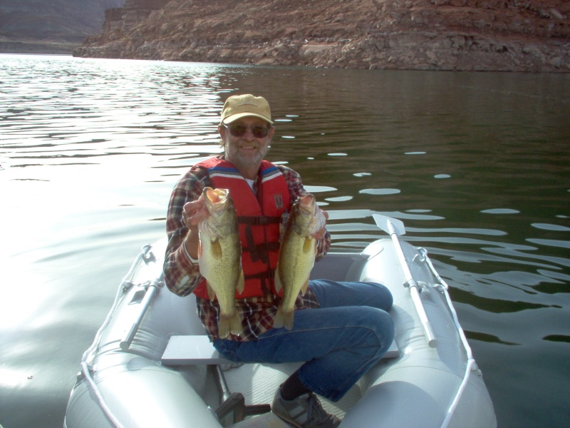 Large Mouth Bass, Lake Powell, Utah