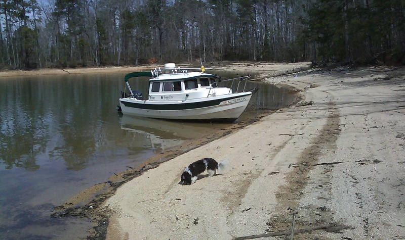 Last day on Lake Martin before we move to Washington