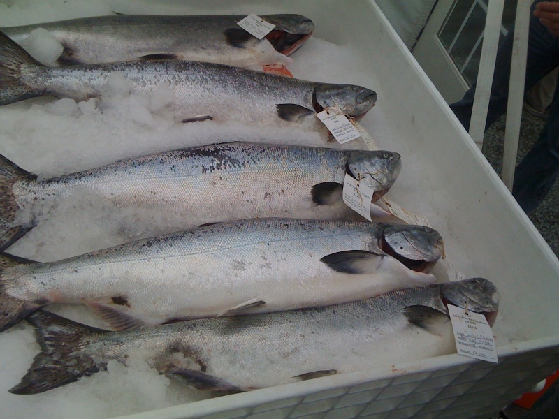 Leader board, Anacortes 2010