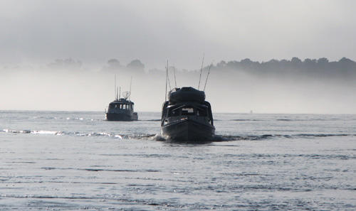 Leaving in a light fog
