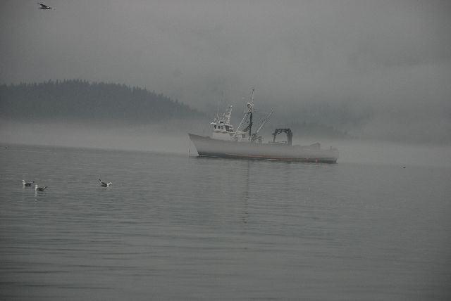 Leaving in the Fog