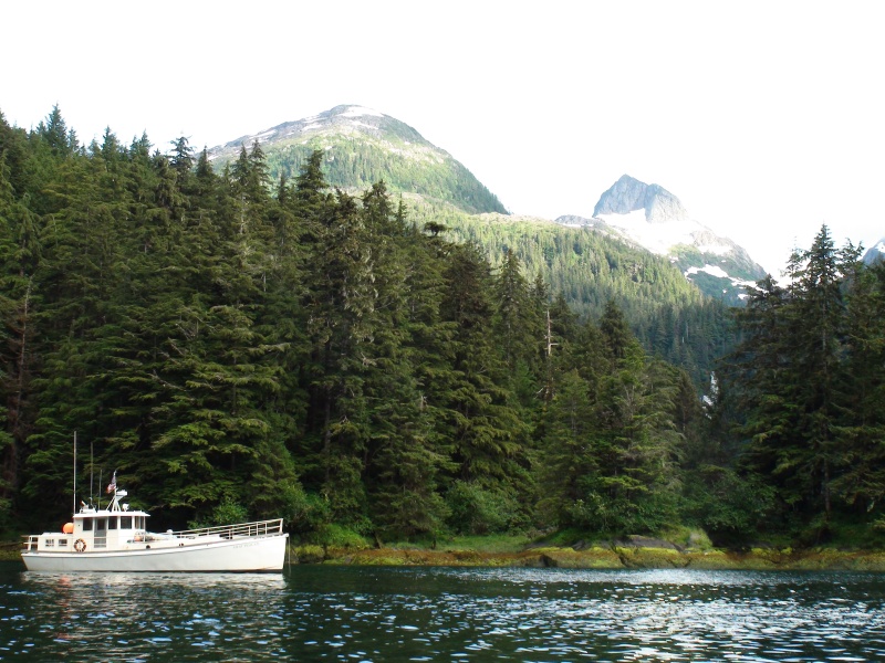 Liked the looks of this boat anchored in Red Bluff Bay