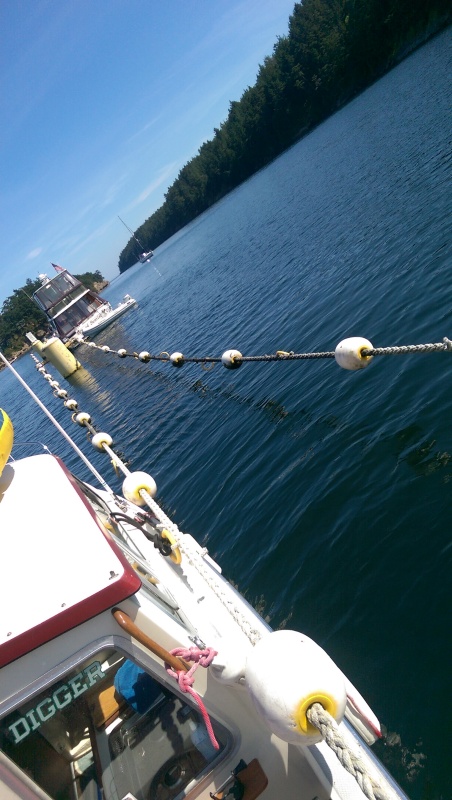Linear Moorage Echo Bay / Sucia