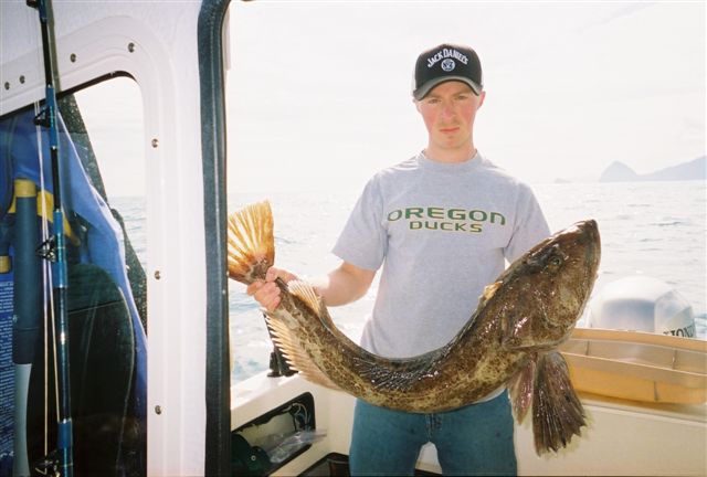 Ling Cod