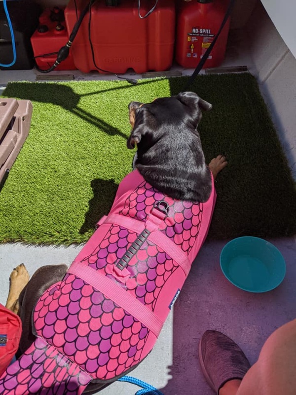 lola boat 6 17