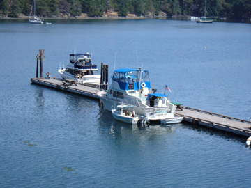 "Lonely" at Prevost Hbr.Stuart Is. in July '08