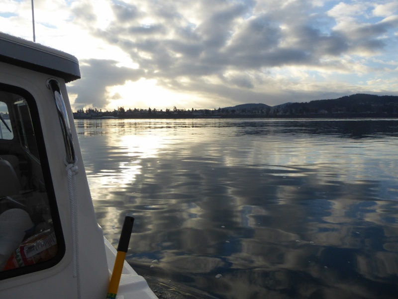 Looking across from Guemes to Anacortes