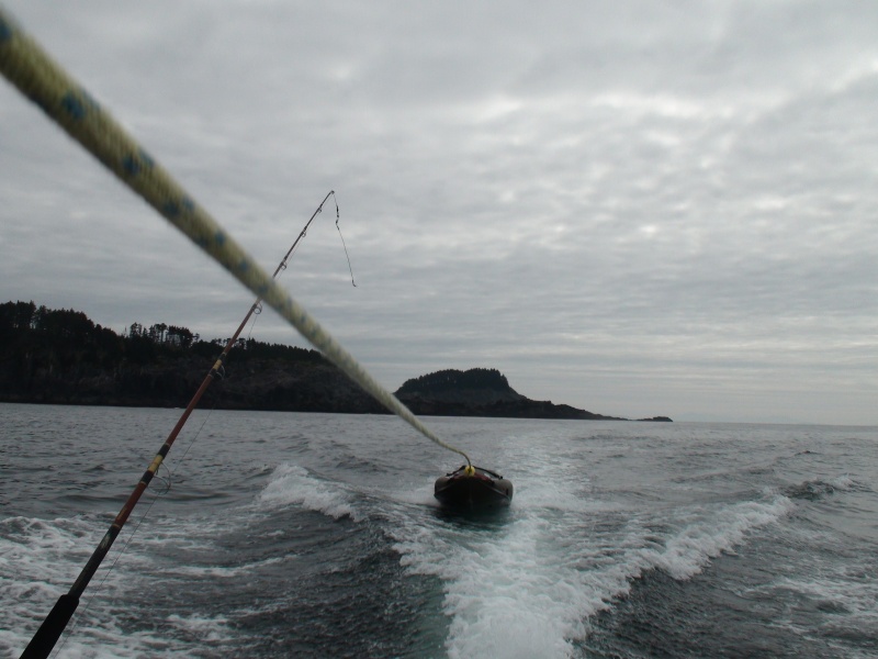 Looking back at Cape Ommaney
