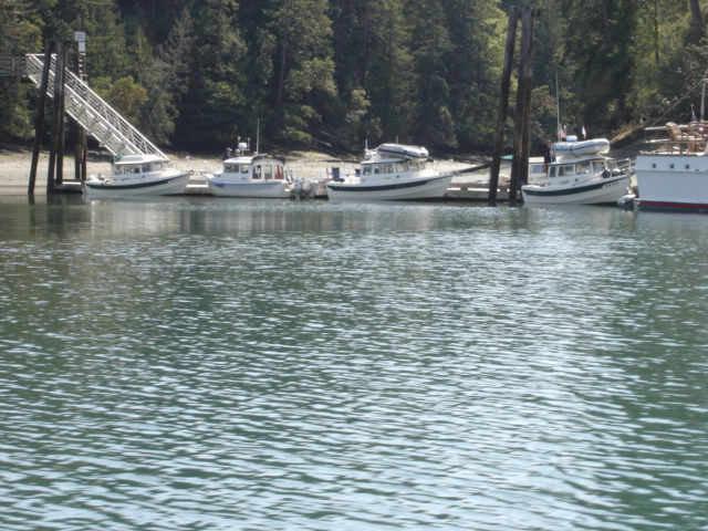 Looking back at the 
Jarrell Cove dock