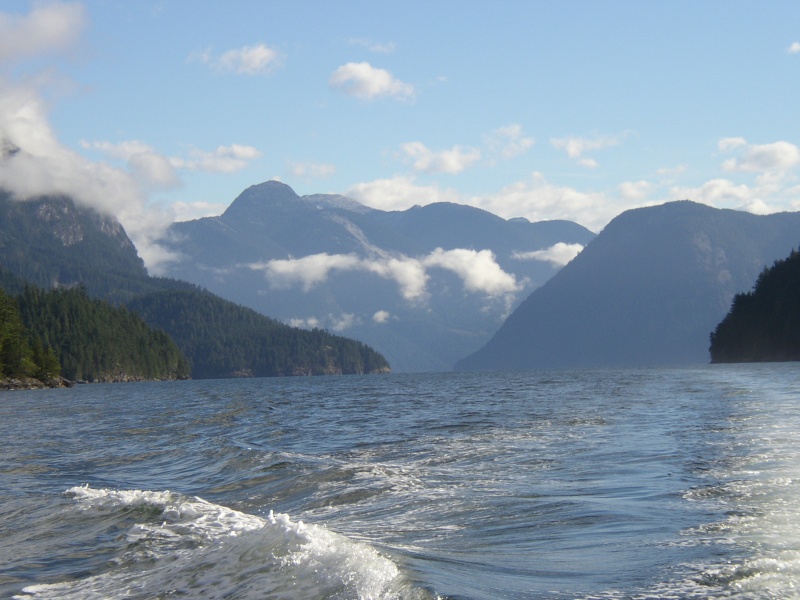 Looking down Toba Inlet