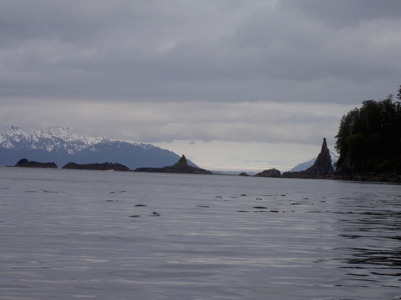 looking north from lisianski inlet across cross sound to taylor glacier
