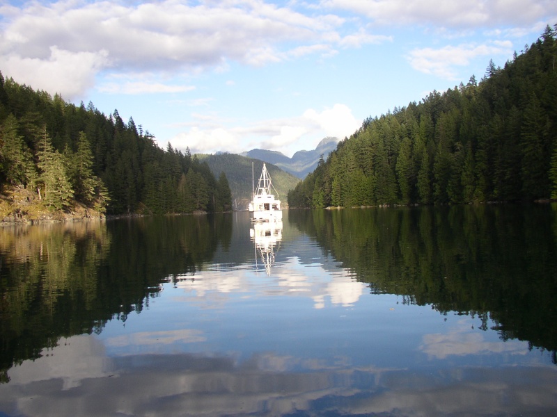 Looking out of Roscoe Bay