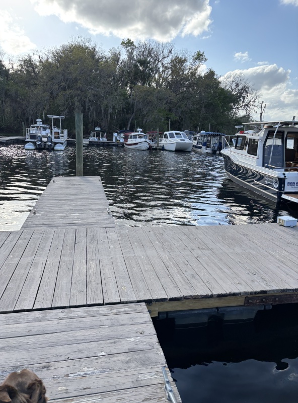 looking past grants boat and into the fray of C-Dory's