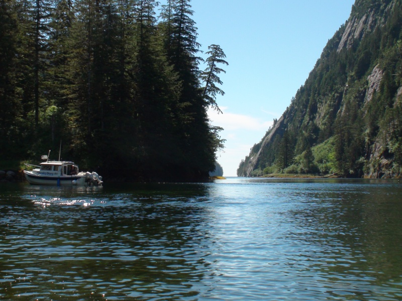 Looking south toward the entrance of Patterson Bay