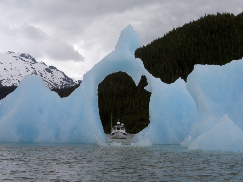 looking through the ice apple