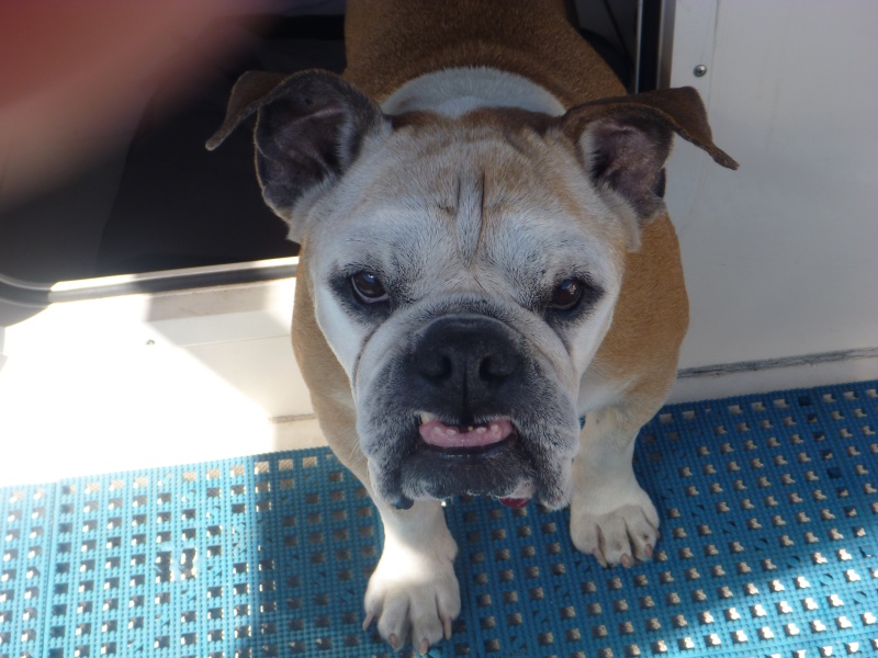 Lucy