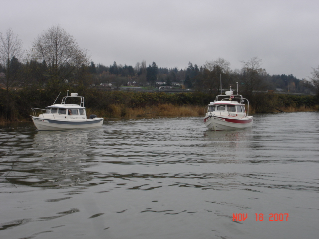 LUNA C & SEASHIFT