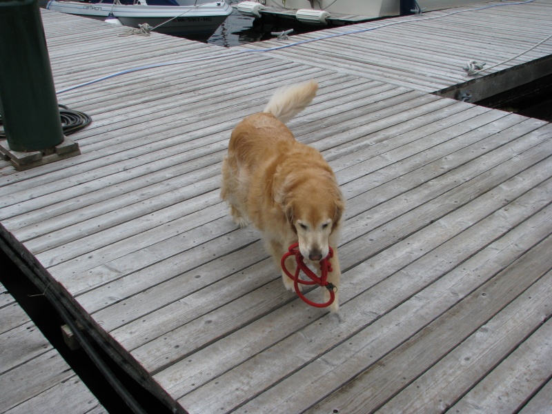 Maggie at Echo Bay, Broughtons