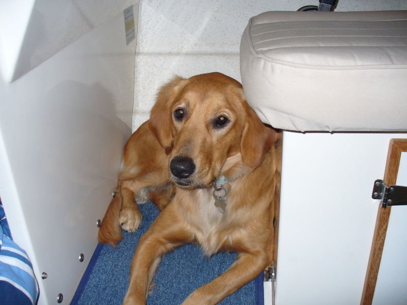 Maggie tired of having to move when we wanted access to the cupboard, or head.  So, she staked out some new territory.