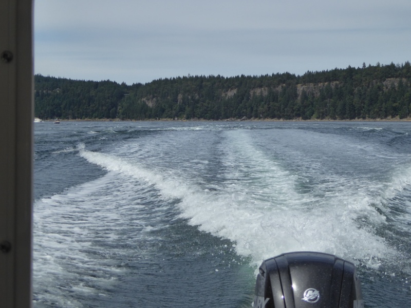 Making my way against a 4 knot current at Dodd Narrows