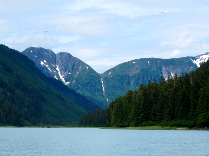 Mallard Cove with overhead power lines