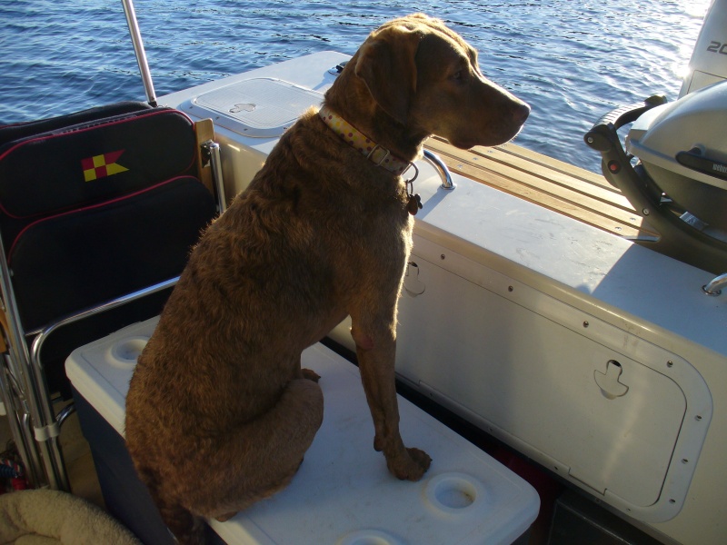 Mallory found her spot.