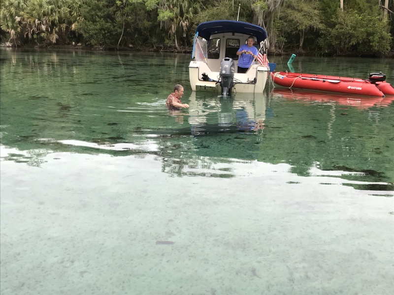 Manatee checking out Little Joes Mike