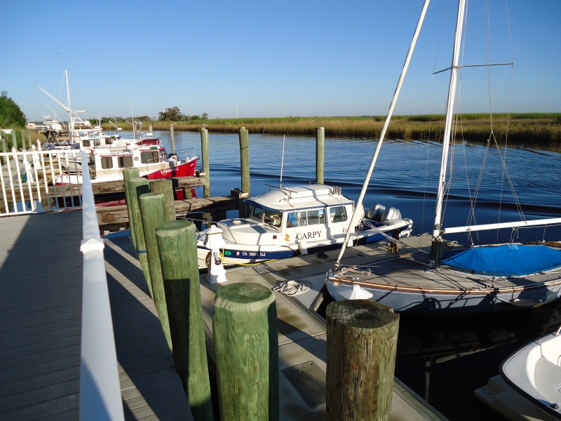 Many boats at the Waterfront Marina