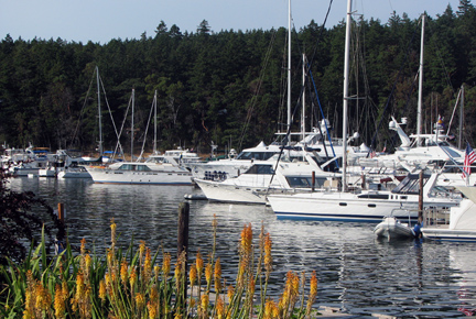 Marina view