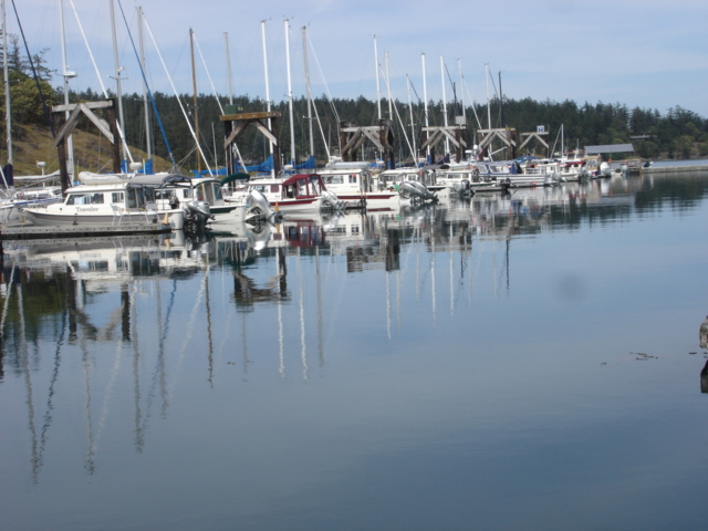 May 16 Friday Harbor 
    Before noon