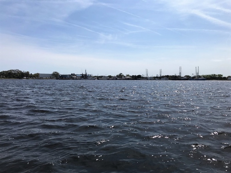 Mayport Fishing Fleet