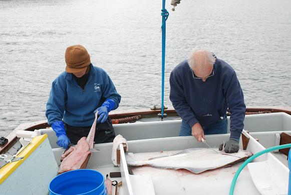 Met up with friends in White Stone Cove for dinner and fish cleaning