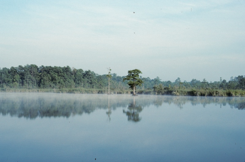 Mist on the Creek-4.

Scanned slide taken in July 1989