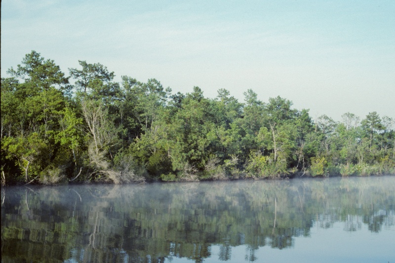 Mist on the Creek-5.

Scanned slide taken in July 1989