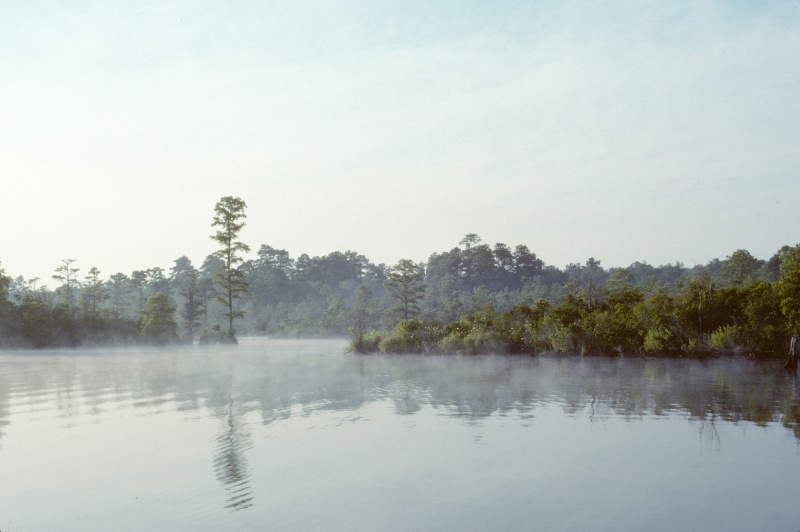 Mist on the Creek-7.

Scanned slide taken in July 1989