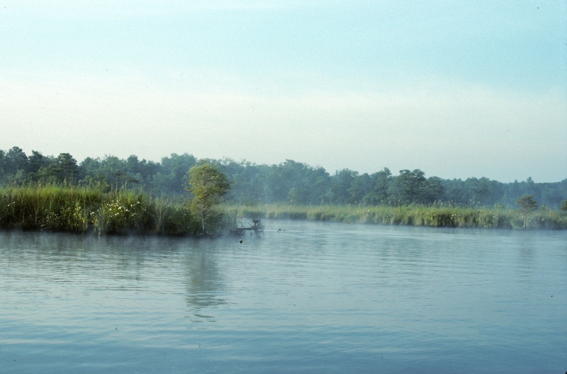 Mist on the Creek

Scanned slide taken in July 1989