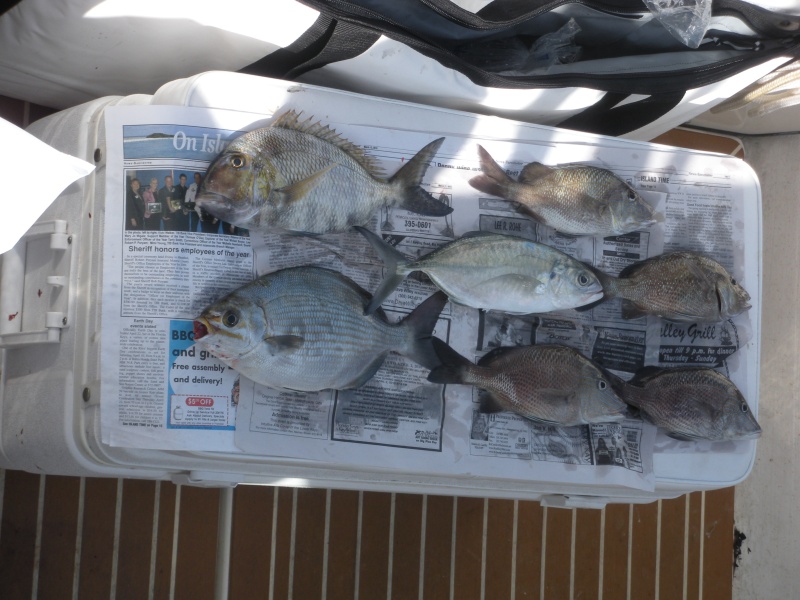 Mixed bag, but they are tasty, if not glamorous.