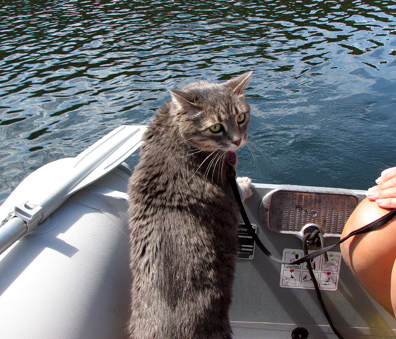 Molly going for a dinghy ride