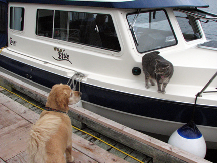 Molly made a new friend at the dock