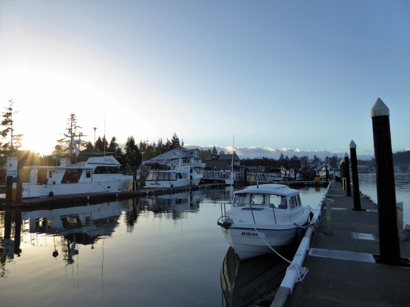Monday morning - flat calm after gale winds and rain last night!