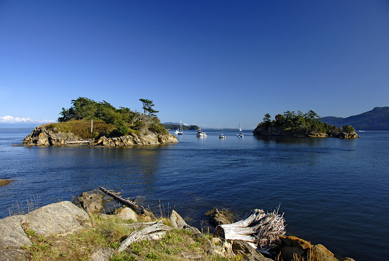 Moorage at Ewing Island