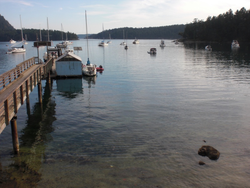 Mooring buoys, Montague Harbour.