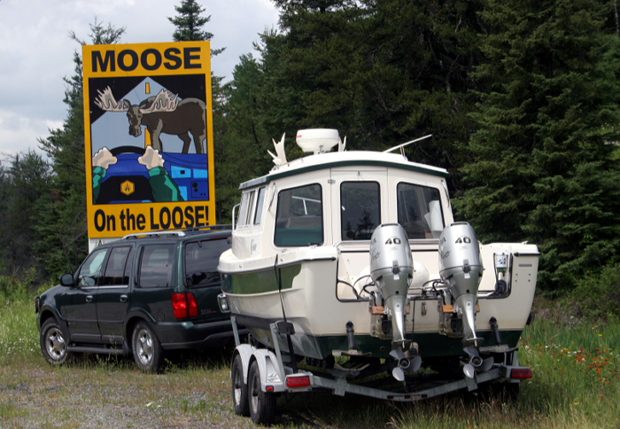 MOOSE on the LOOSE