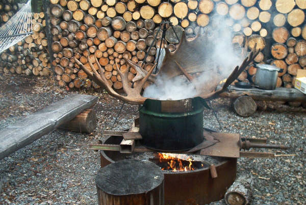Moose soup.JPG