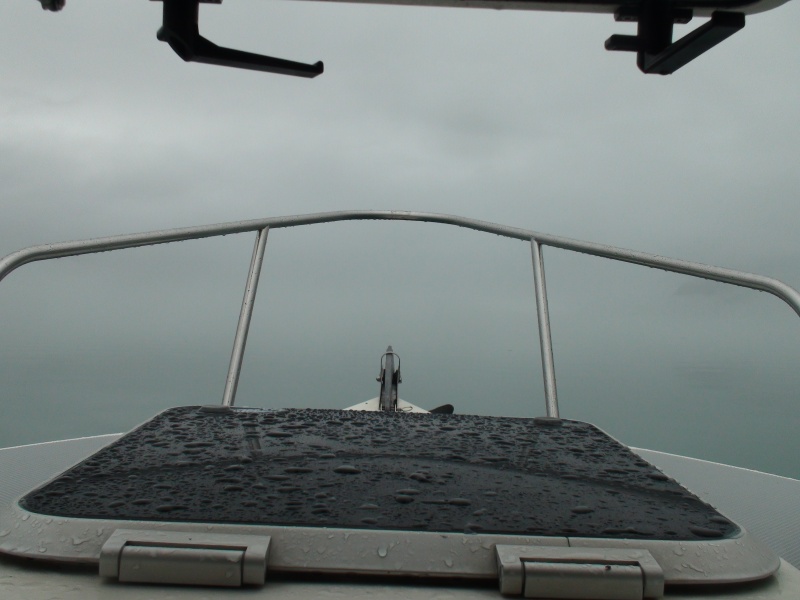 more fog & watching for ice. It was plentiful