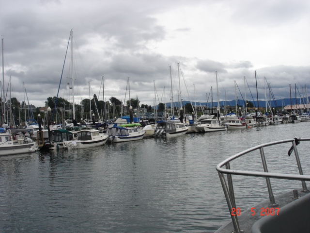 More of P Dock