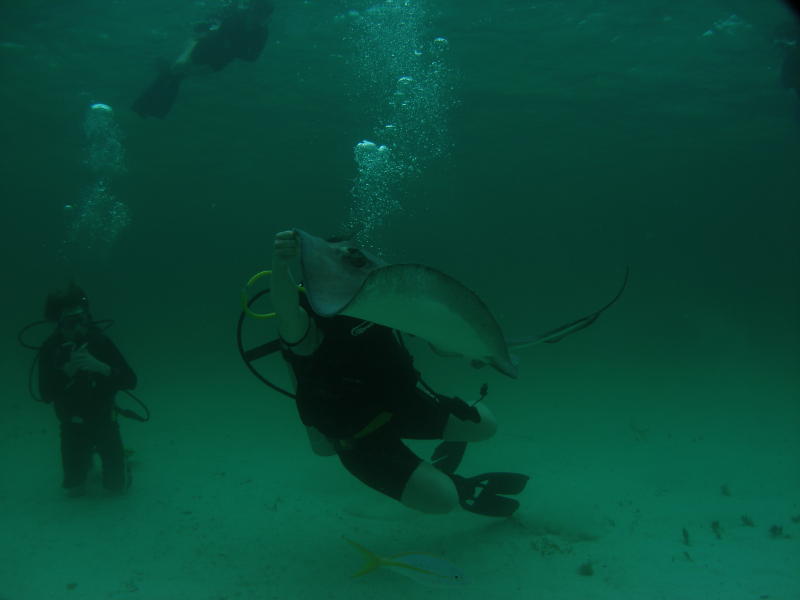 more squid for Fred